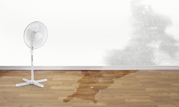  Massanutten, VA Water damage restoration Pros