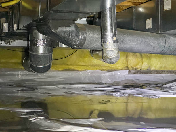 Best Mold removal after water damage  in Massanutten, VA