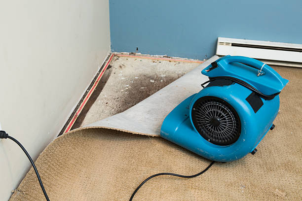 Best Fire Damage Restoration  in Massanutten, VA